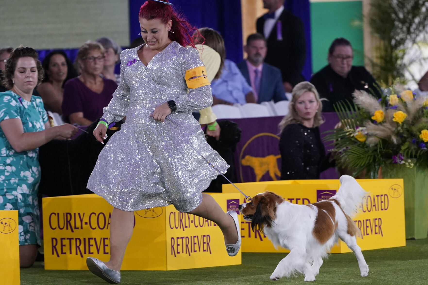 Westminster Dog Show